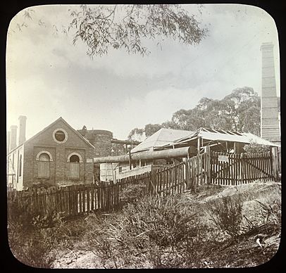 Fitzroy Ironworks, Mittagong, N.S.W. (Photographer John Henry Harvey 1855-1938, State Library of Victoria)