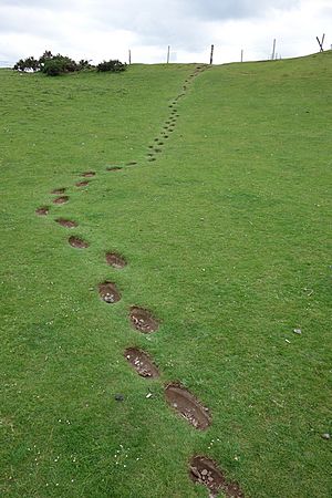 Footsteps at Donnelly's Hollow on the Curragh in County Kildare