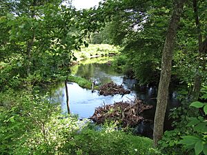 French River south of West Main Street, Hodges Village MA