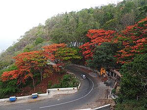 Ghat road-3-yercaud-salem-India