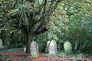 Islington St Pancras Cemetery
