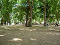 Kensington Gardens Of London Summer