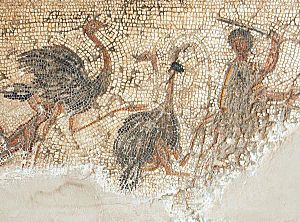 Killing ostriches on the Zliten mosaic