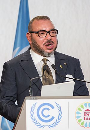 Mohammed VI speaking at the 2016 United Nations Climate Change Conference