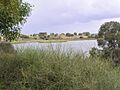 Lake Connewarre from Tait Point 05