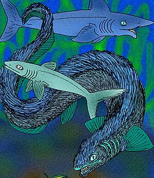 Listracanthus hystrix