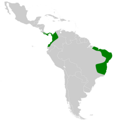 Lonchophylla mordax map.svg