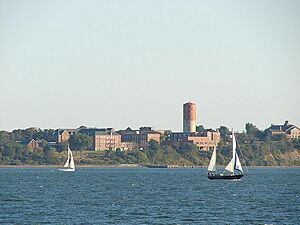 Long island