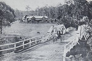 Lynburn Bomaderry circa 1900
