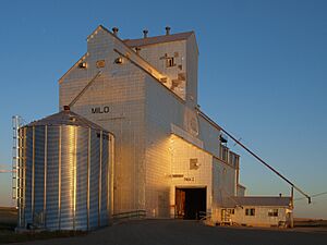Milo Grain Elevator - panoramio