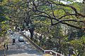 Mohammad Yusuf Chowdhury Road from CRB hill (03)