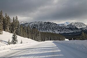 Mountain roads (38788400275)