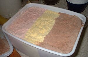 Neapolitan ice cream UK