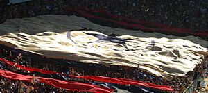 Newcastle Jets Grand Final Banner