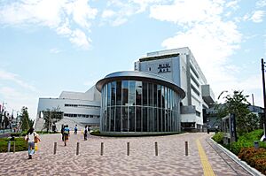 Nihon Univ College of Art Tokyo Japan 20110628