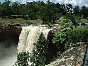 Nocc falls