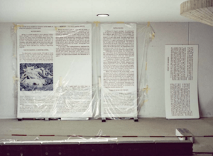 Noland, Towards a Metalanguage of Evil, Documenta