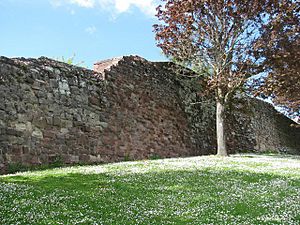 Old Exeter City wall - geograph.org.uk - 1286996
