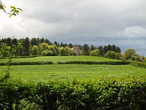 Old Windmill, Kinver Million - geograph.org.uk - 7925
