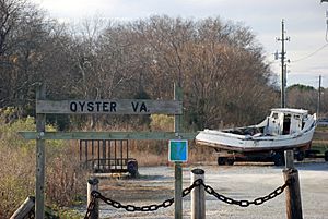 Oyster VA Sign