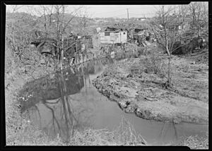 Paterson, New Jersey - Textiles. Bachelor shacks in outskirts of Paterson, on "Molly Jan Brook." About 20 men live... - NARA - 518623