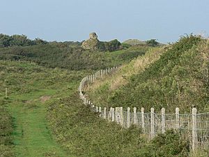 Path to Kenfig Castle Margam - geograph.org.uk - 984081