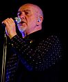 Peter Gabriel Life Festival 2012