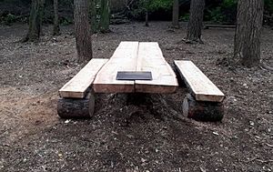 Picnic Table Tennis Courts Edwards