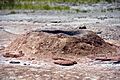 Pink Cone Geyser (13 July 2014) 3 (15324122761)