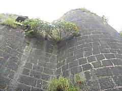 Purandar fort 101