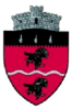 Coat of arms of Cârlibaba