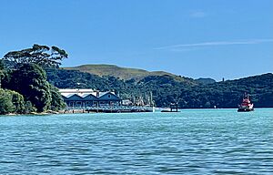 Raglan wharf and pontoon from the east in 2023