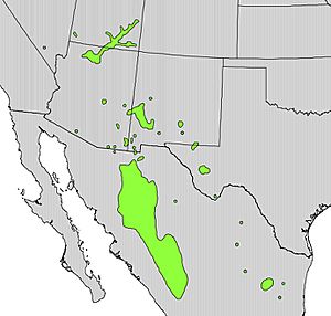 Rhamnus betulaefolia range map.jpg