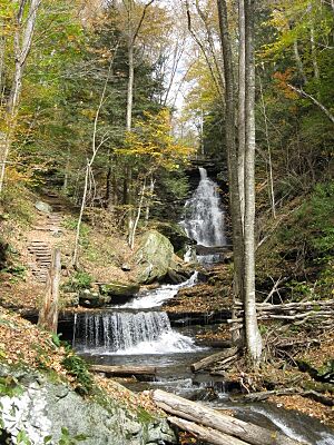 Ricketts Glen State Park Ozone Falls 8