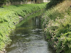 River Leen in Nottingham (8)