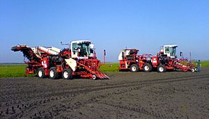 SIMON carrot harvesters