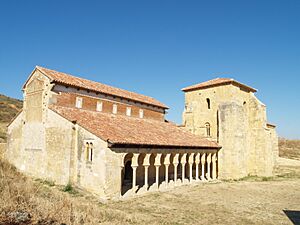 SMdE001 fulgacian