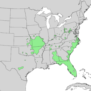 Salix caroliniana range map 2.png