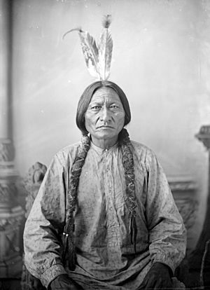 Sitting Bull by D F Barry ca 1883 Dakota Territory.jpg