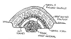 Sketch of Hugelkulture bed in cross section