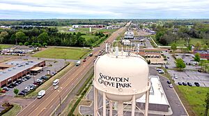 Snowden Grove Water Tower