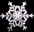 Snowflake8