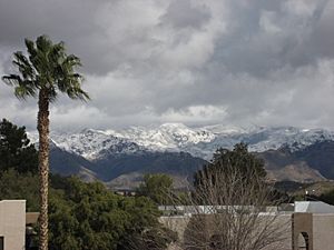 Snowy Catalinas