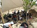 Somosaguas fossil site - 2014 paleontological campaign 01