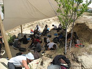 Somosaguas fossil site - 2014 paleontological campaign 01