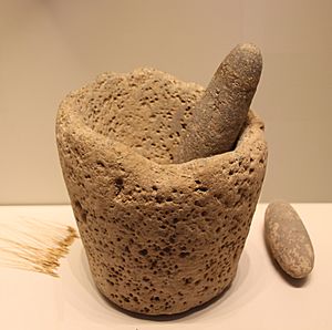 Stone Age Stone Mortar & Pestle, Kebaran culture, 22000-18000 BP