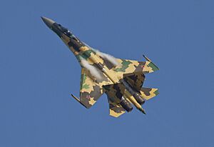 Sukhoi Su-35 MAKS'2011 Avdeev