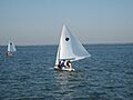 Sunfish Lessons