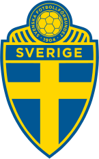 25 Interesting Facts about Football - Swedish Nomad