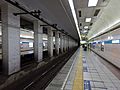 Takadanobaba-Sta-Tozailine-Platform